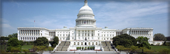 Incorporate or form LLC in DC image
