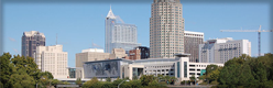 Incorporate or form LLC in North Carolina image